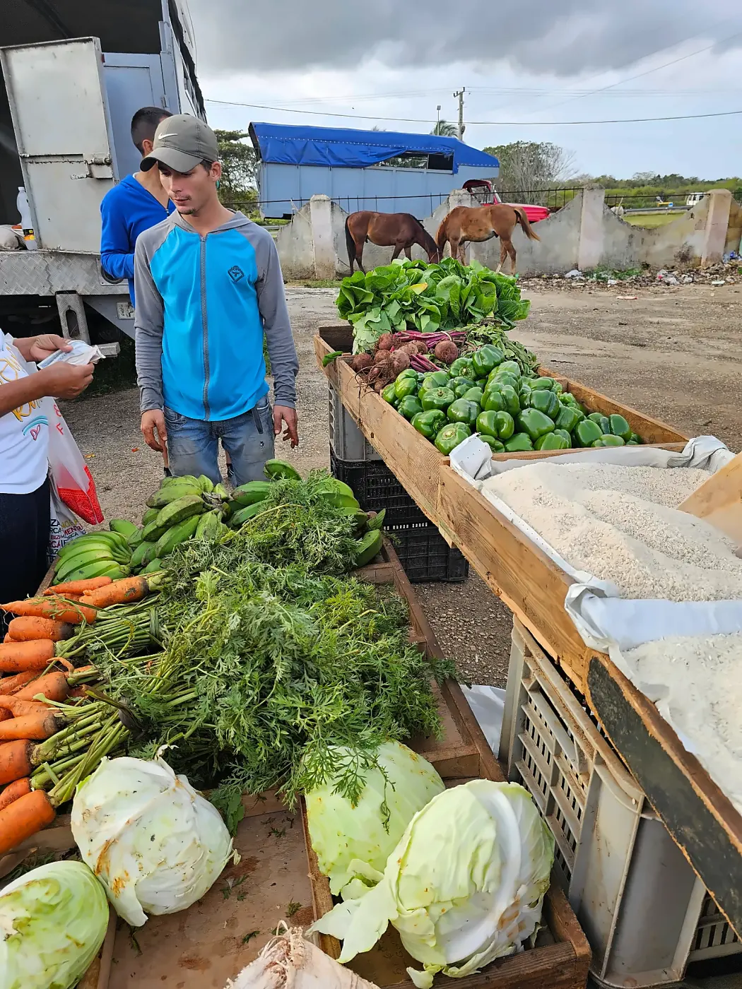 Carrots, cabbages and lettuces on the market cart